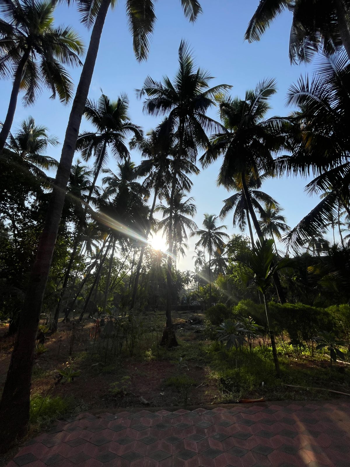 WhatsApp Image 2026-04-07 at 17.02.35