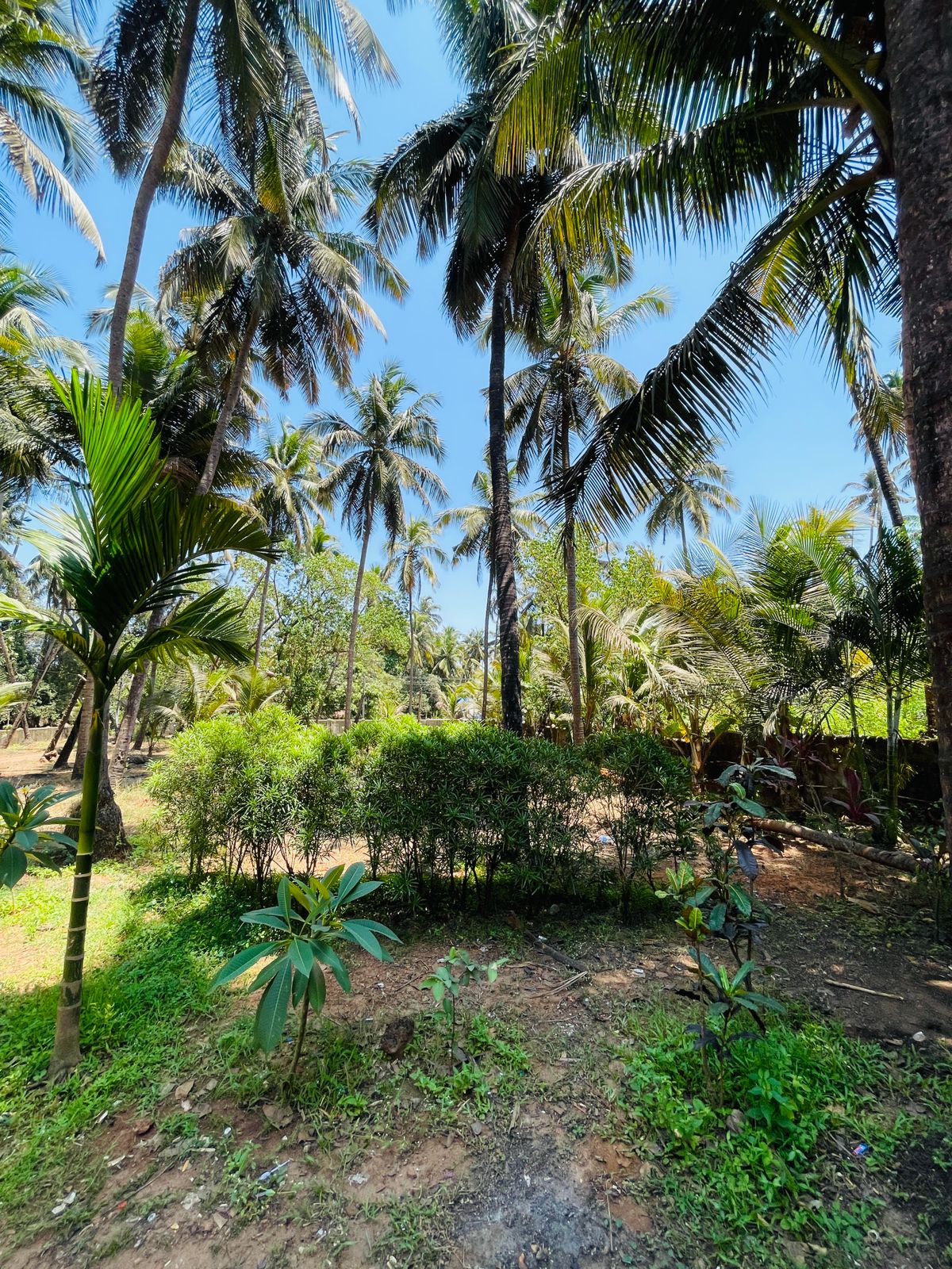 WhatsApp Image 2026-04-07 at 17.47.04 (3)