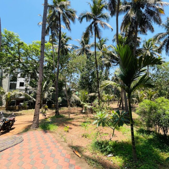 WhatsApp Image 2026-04-14 at 1.46.30 PM (1)