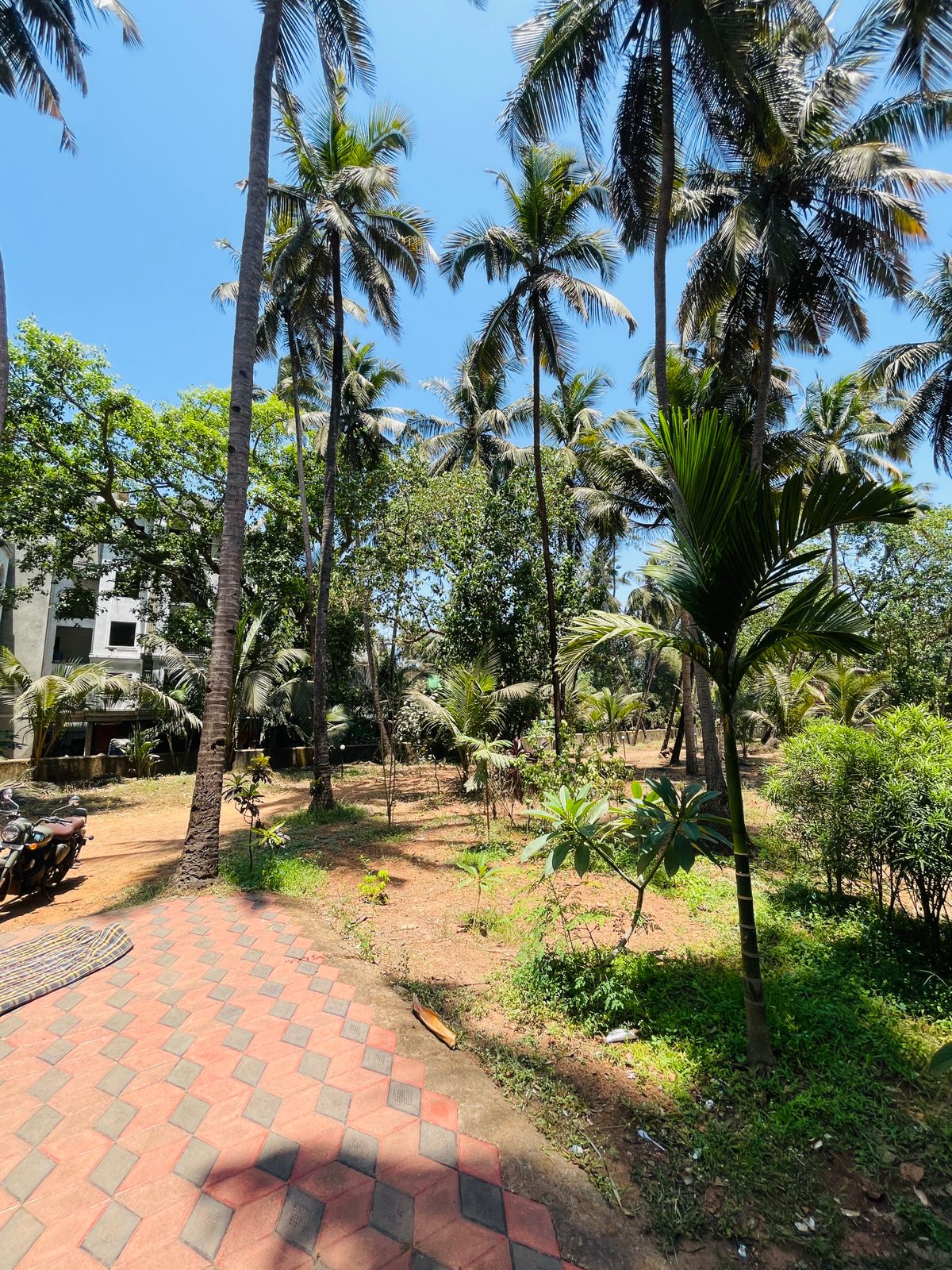 WhatsApp Image 2026-04-14 at 1.46.30 PM (1)